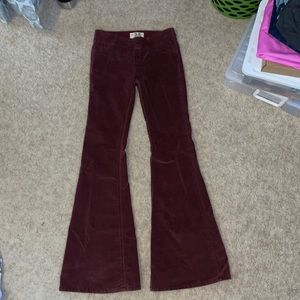 Flare jeans! NEVER WORN